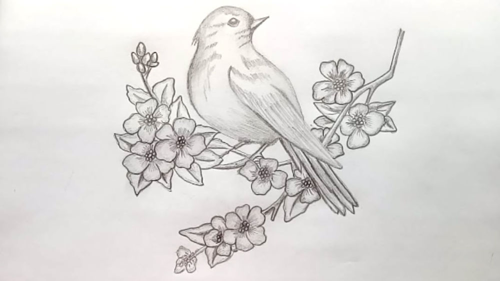 30 Easy Bird Drawing Ideas - How To Draw A Bird - Blitsy