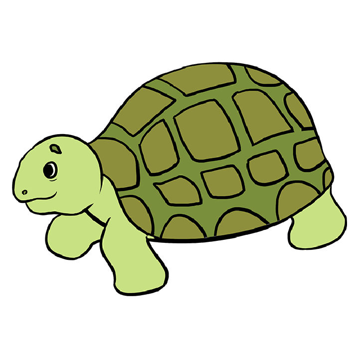 25 Easy Turtle Drawing Ideas - How To Draw A Turtle - Blitsy