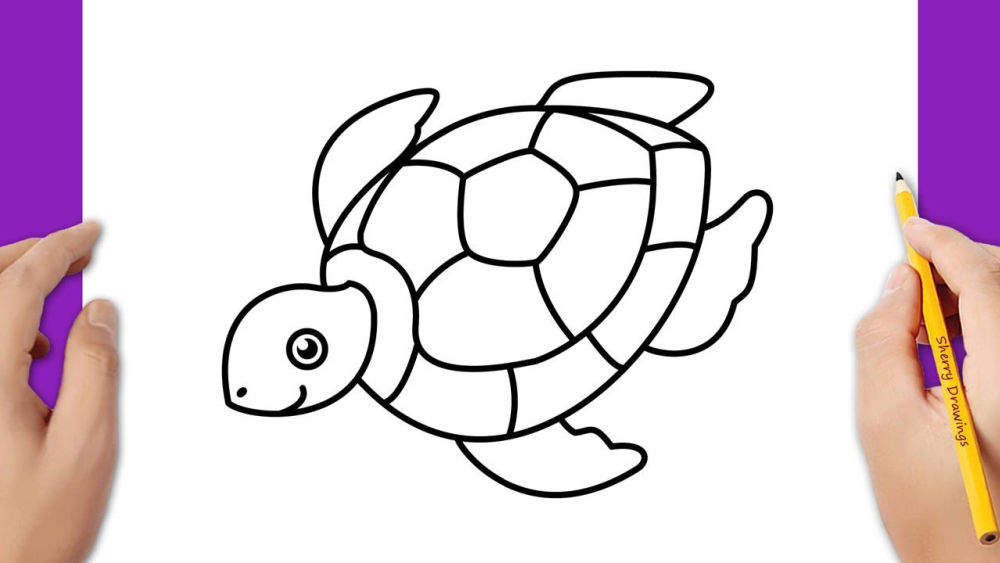 25 Easy Turtle Drawing Ideas - How To Draw A Turtle - Blitsy