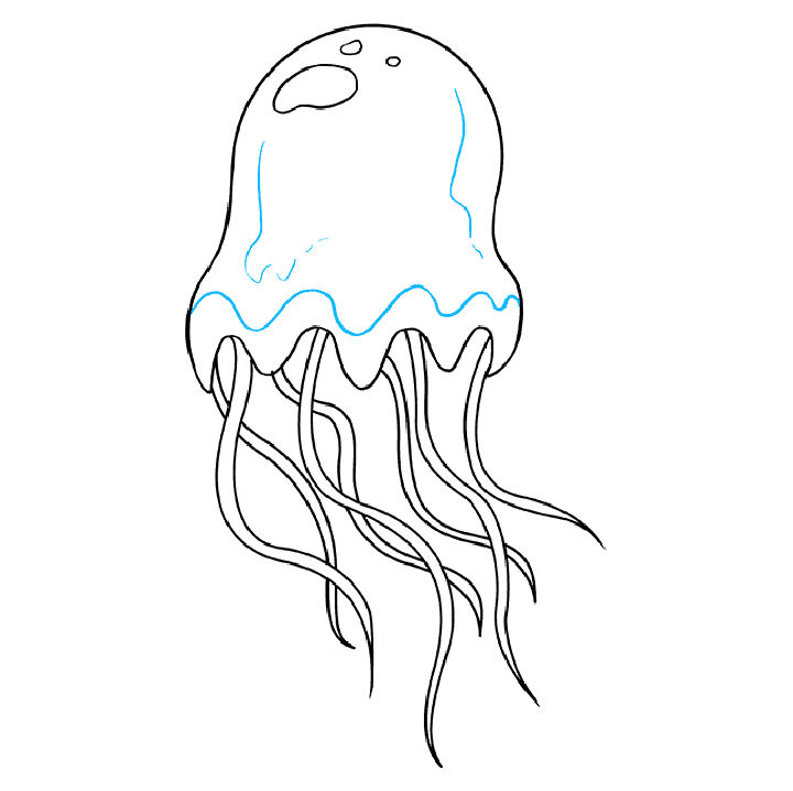 20 Easy Jellyfish Drawing Ideas - How to Draw a Jellyfish