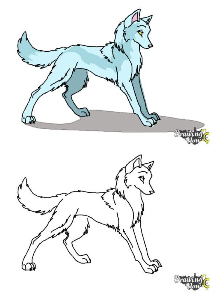 25 Easy Wolf Drawing Ideas - How To Draw A Wolf - Blitsy