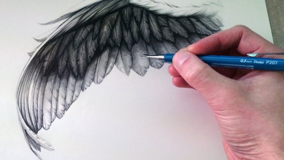 20 Easy Eagle Drawing Ideas - How To Draw An Eagle - Blitsy