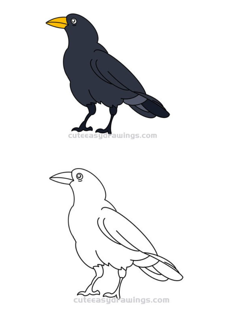 20 Easy Crow Drawing Ideas How To Draw Crow Blitsy