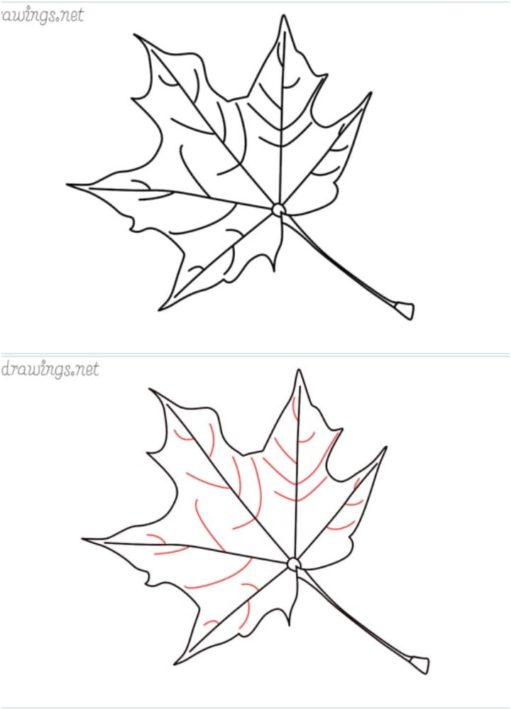 15 Easy Fall Leaf Drawing Ideas - Fall Leaves Drawing