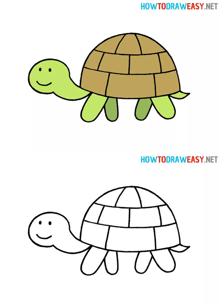 25 Easy Turtle Drawing Ideas - How To Draw A Turtle - Blitsy
