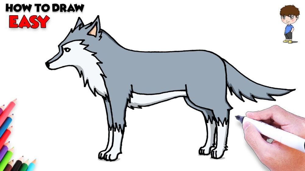 25 Easy Wolf Drawing Ideas - How to Draw a Wolf - Blitsy