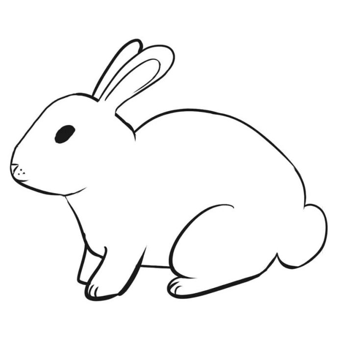 25 Easy Bunny Drawing Ideas - How To Draw A Bunny