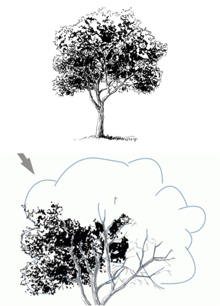 40 Easy Tree Drawing Ideas - How To Draw A Tree - Blitsy