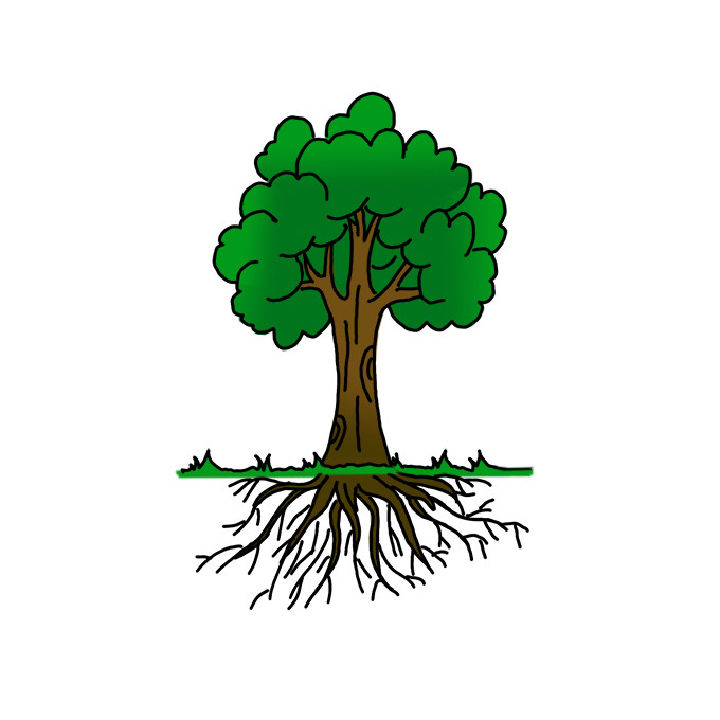 40 easy tree drawing ideas how to draw a tree blitsy