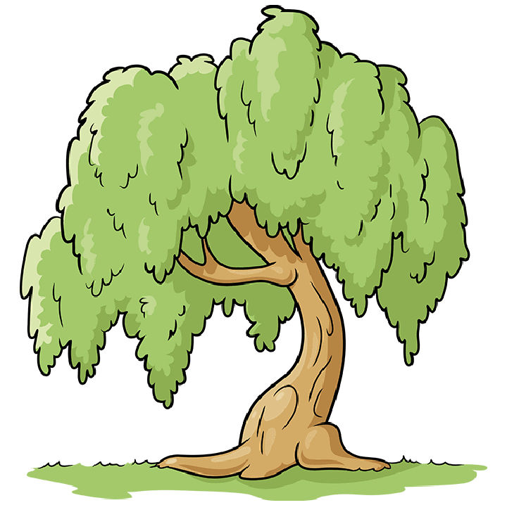 40 Easy Tree Drawing Ideas - How To Draw A Tree - Blitsy