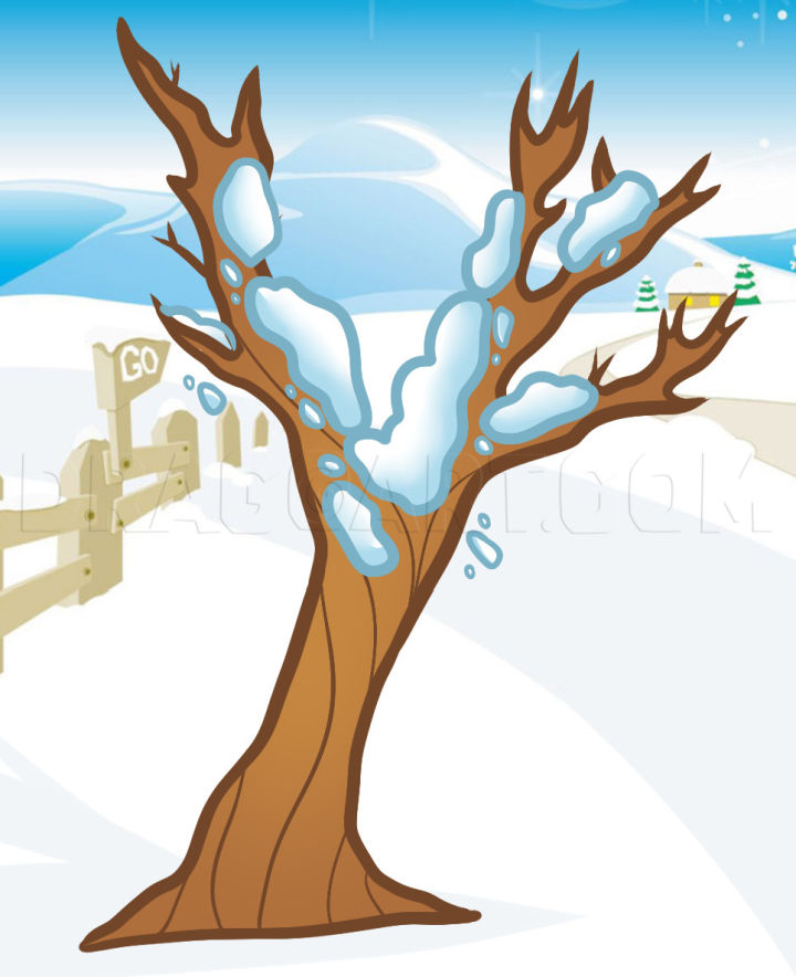40 Easy Tree Drawing Ideas How To Draw A Tree Blitsy