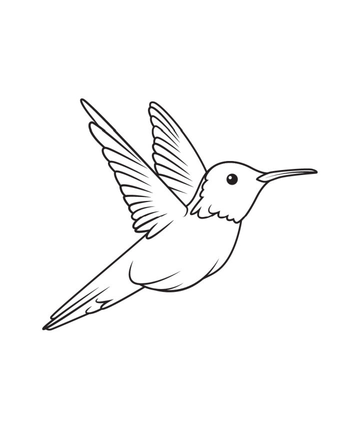 30 Easy Bird Drawing Ideas - How To Draw A Bird - Blitsy