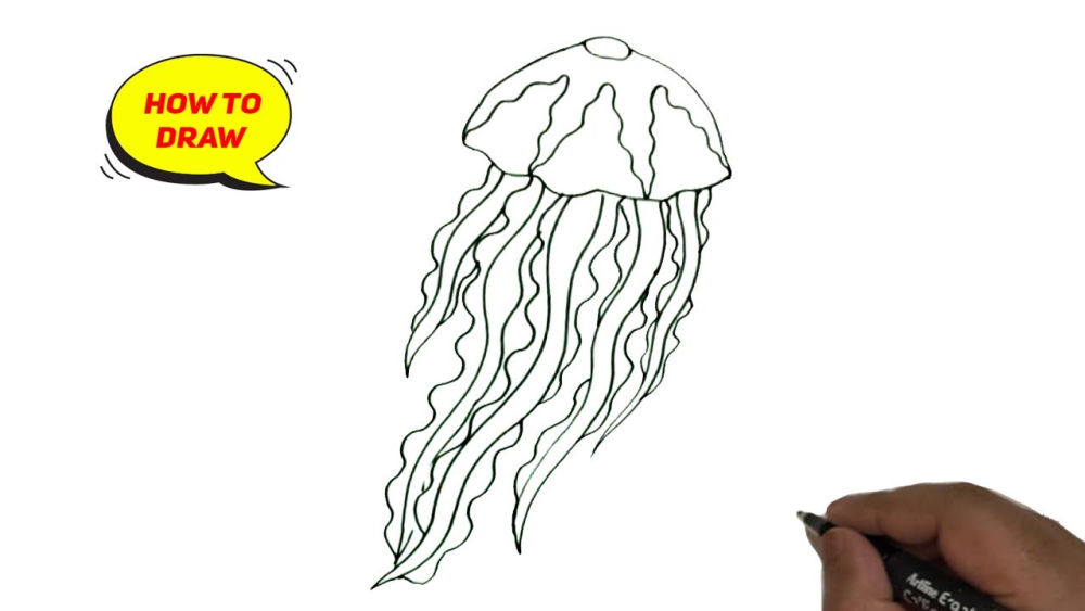 20 Easy Jellyfish Drawing Ideas - How To Draw A Jellyfish