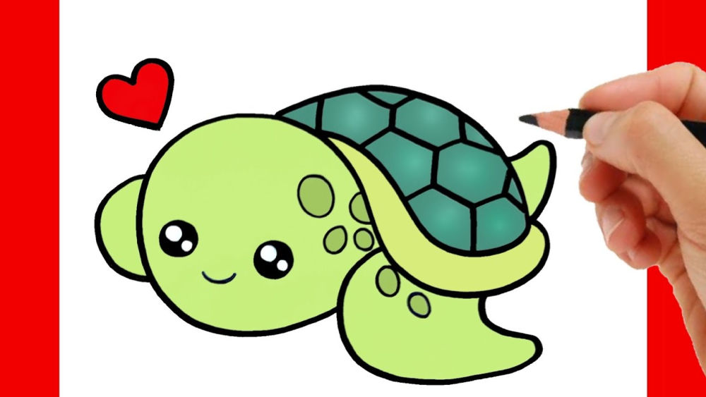 25 Easy Turtle Drawing Ideas - How To Draw A Turtle - Blitsy