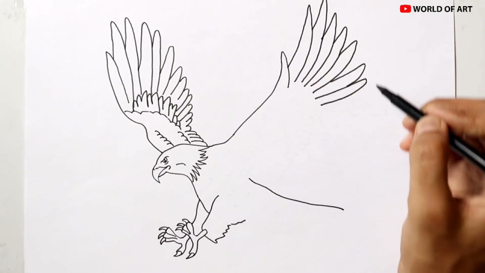 20 Easy Eagle Drawing Ideas - How To Draw An Eagle - Blitsy