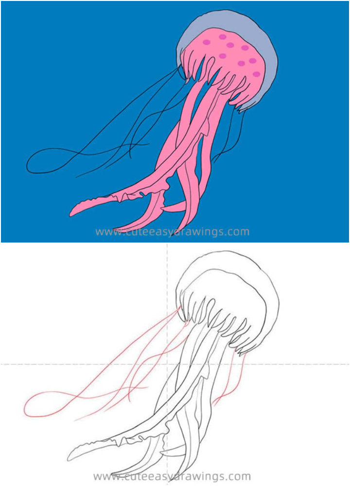 20 Easy Jellyfish Drawing Ideas - How To Draw A Jellyfish