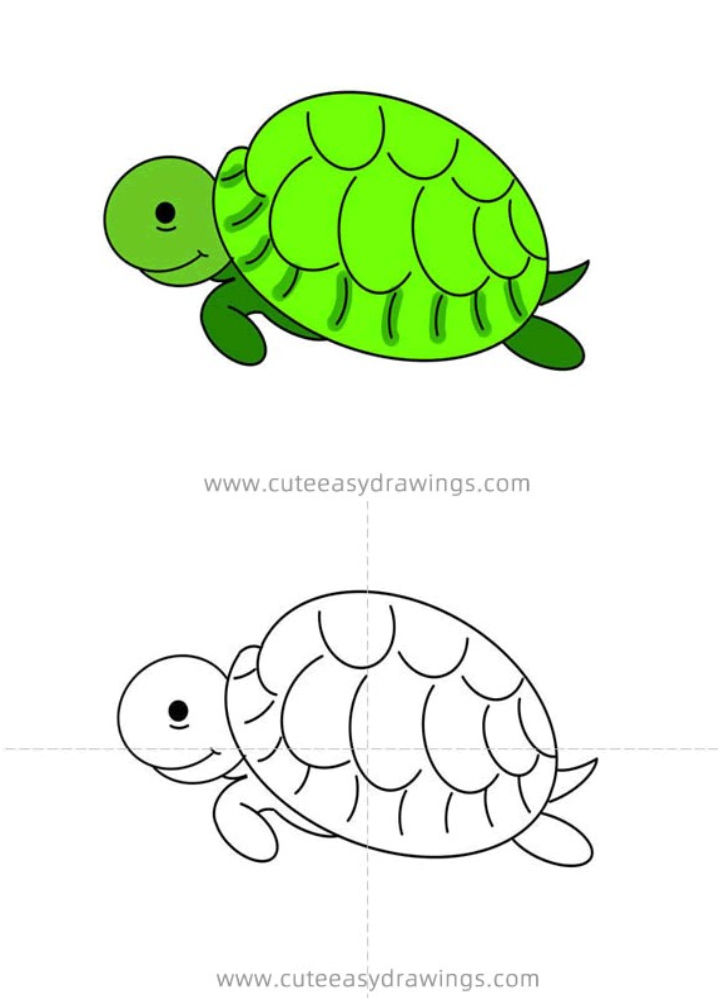 25 Easy Turtle Drawing Ideas - How To Draw A Turtle - Blitsy