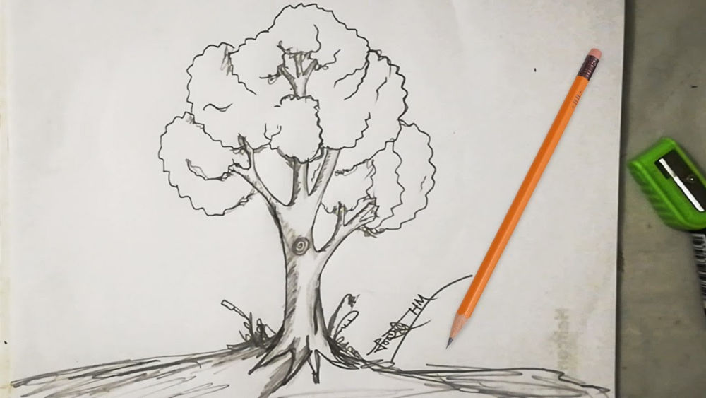 40 Easy Tree Drawing Ideas - How To Draw A Tree - Blitsy
