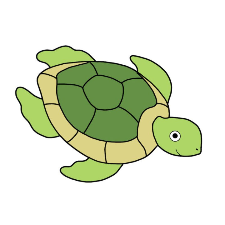 25 Easy Turtle Drawing Ideas - How To Draw A Turtle - Blitsy