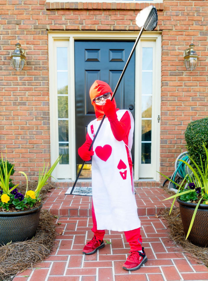 20 DIY Alice in Wonderland Costume Ideas 2024 - Blitsy