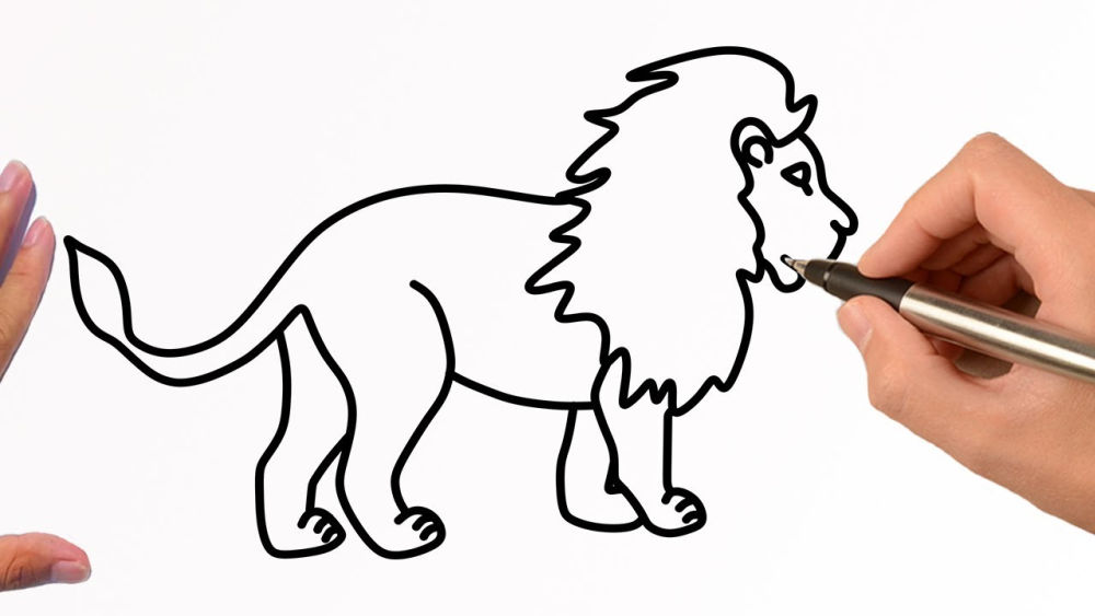 25 Easy Lion Drawing Ideas How to Draw a Lion