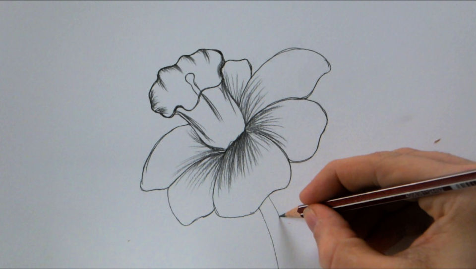 35 Easy Flower Drawing Ideas - How to Draw a Flower