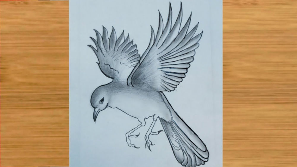 20 Easy Flying Bird Drawing Ideas - How To Draw A Flying Bird