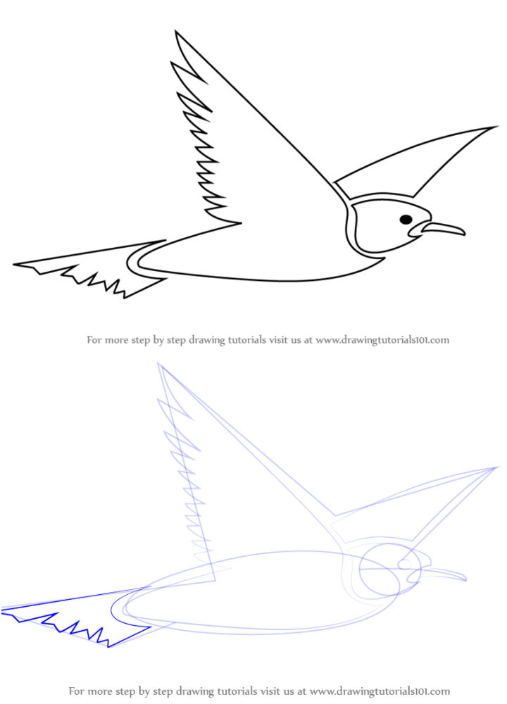20 Easy Flying Bird Drawing Ideas - How To Draw A Flying Bird