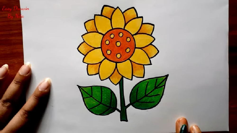 25 Easy Sunflower Drawing Ideas - How to Draw a Sunflower