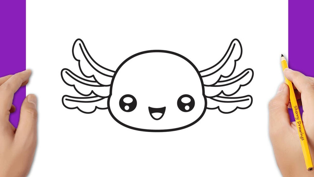 15 Cute Axolotl Drawing Ideas - How to Draw an Axolotl - Blitsy