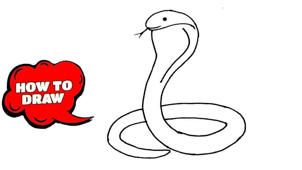 25 Easy Snake Drawing Ideas How to Draw a Snake Blitsy