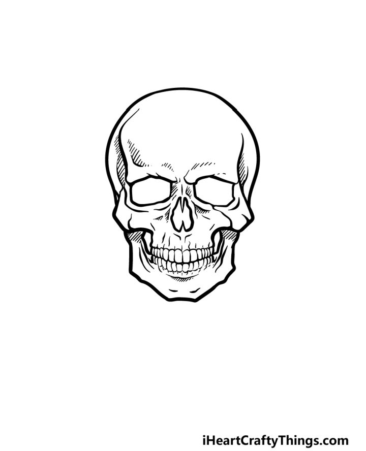 25 Easy Skull Drawing Ideas How - How To Draw A Skeleton Head