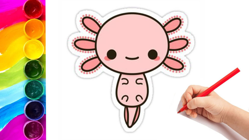 15 Cute Axolotl Drawing Ideas How to Draw an Axolotl Blitsy