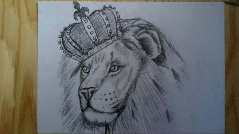 25 Easy Lion Drawing Ideas How to Draw a Lion