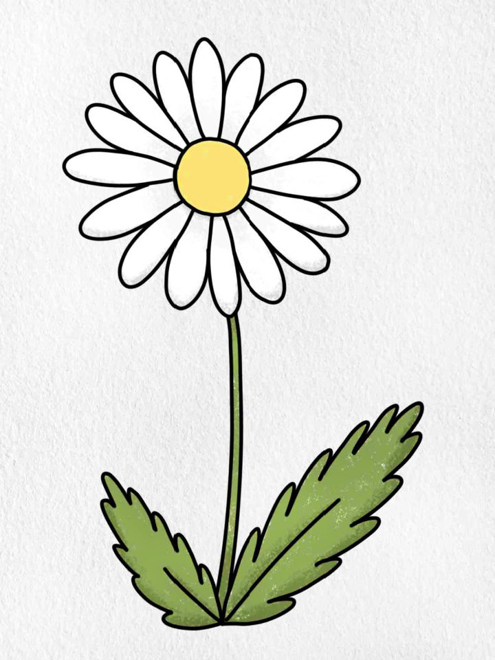 35 Easy Flower Drawing Ideas - How to Draw a Flower