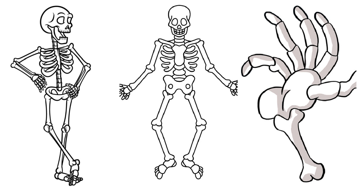 How To Draw Human Skeleton Step by Step HumanSkeleton  YouTube