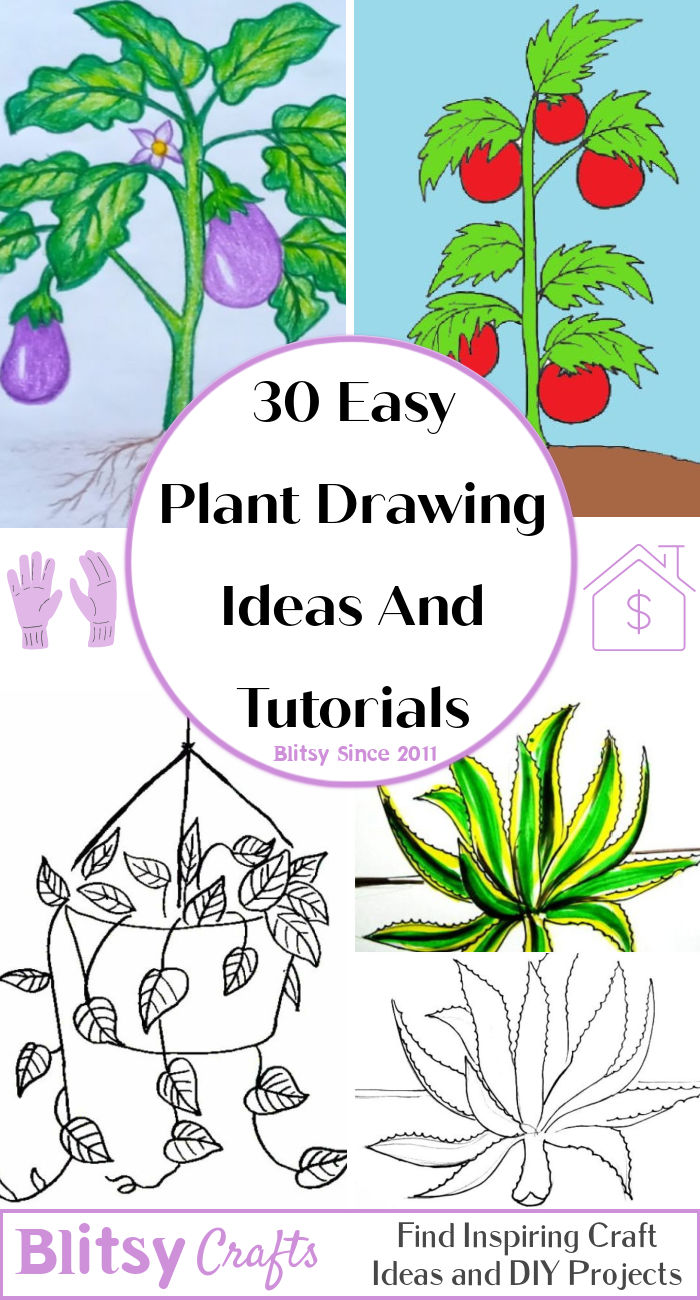 30-easy-plant-drawing-ideas-how-to-draw-a-plant