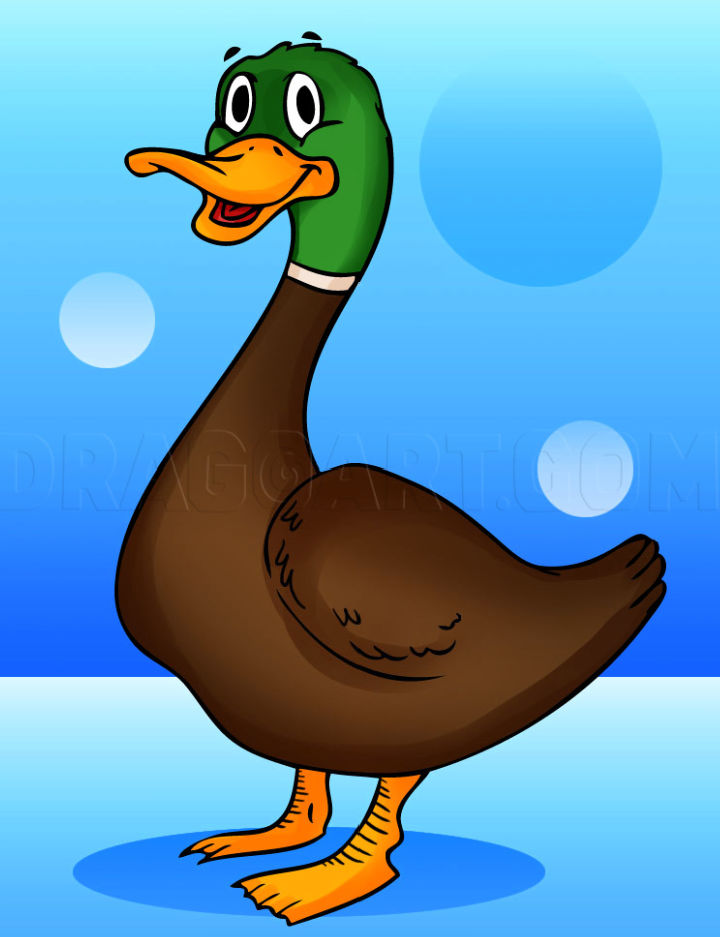 25 Easy Duck Drawing Ideas - How to Draw a Duck - Blitsy