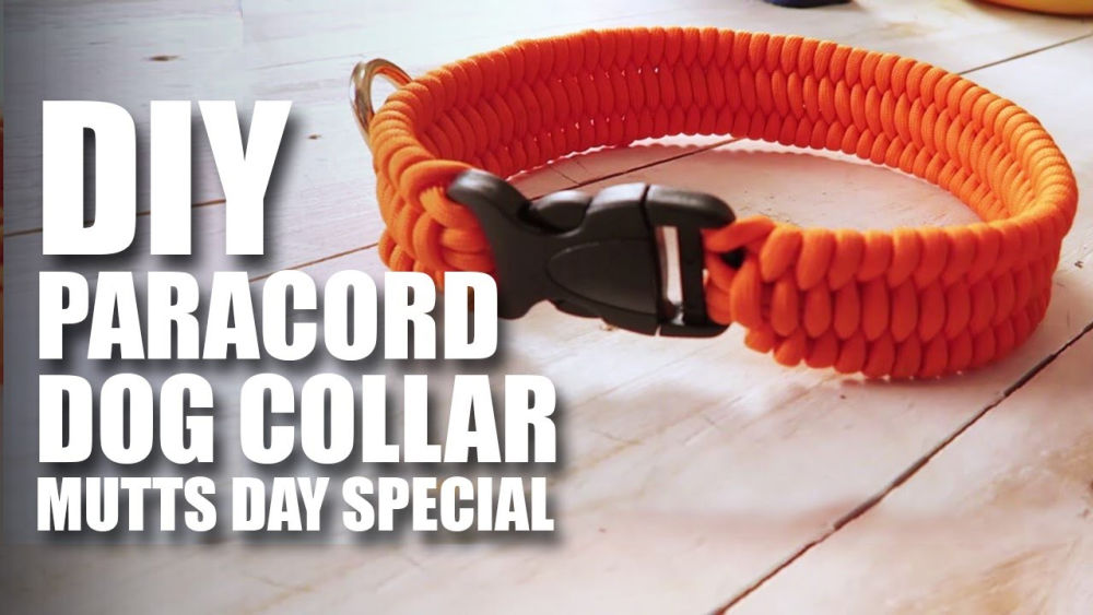 25 DIY Paracord Dog Collar Patterns (Step by Step) Blitsy