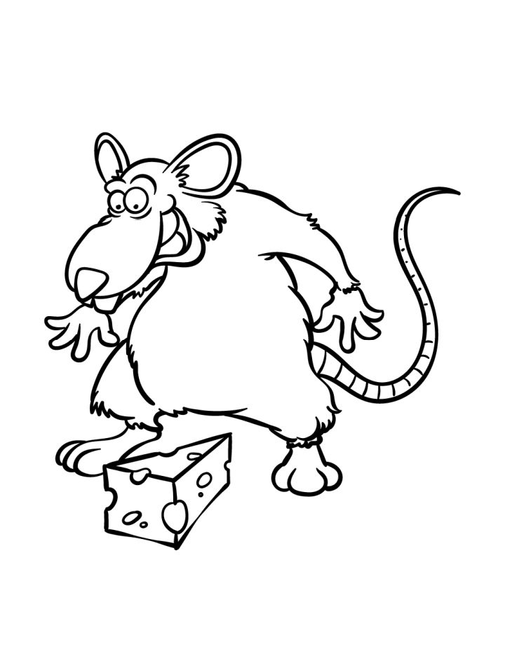 25 Easy Rat Drawing Ideas - How to Draw a Rat