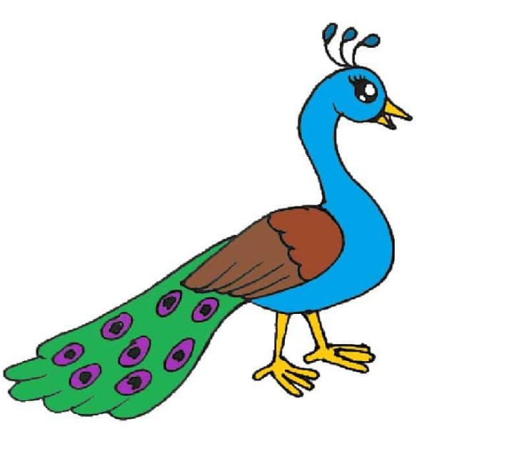 25 Easy Peacock Drawing Ideas How To Draw Peacock   Cute And Easy Peacock Drawing  