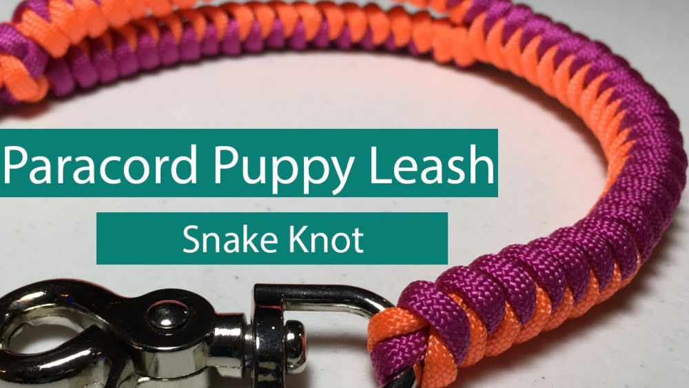 20 Easy DIY Paracord Dog Leash Patterns to Make Blitsy