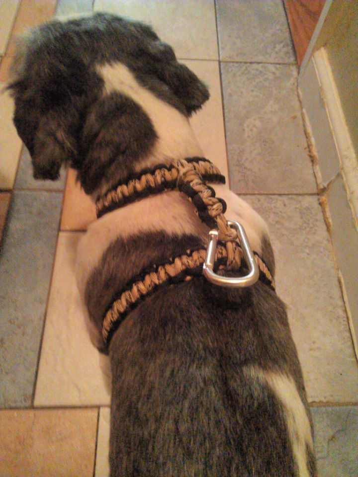 25 DIY Paracord Dog Collar Patterns (Step by Step) Blitsy