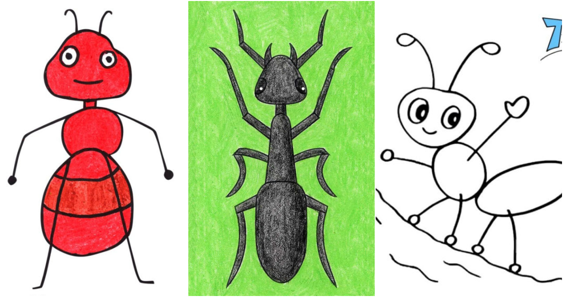Imaginary Insect Drawing - Artsparks Foundation