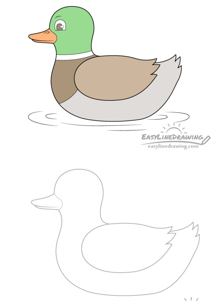 25 Easy Duck Drawing Ideas - How to Draw a Duck - Blitsy