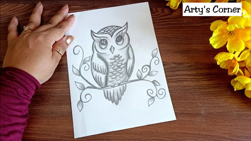 25 Easy Owl Drawing Ideas How to Draw an Owl Blitsy