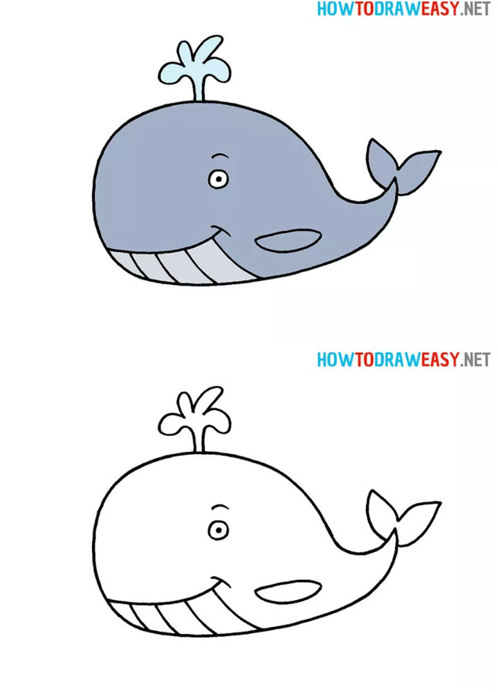 25 Easy Whale Drawing Ideas - How to Draw a Whale