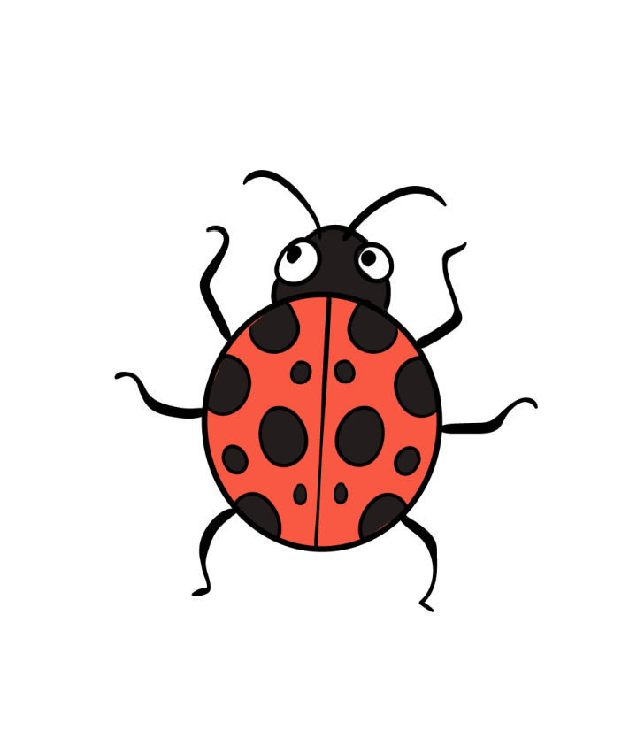 15 Easy Ladybug Drawing Ideas - How to Draw a Ladybug