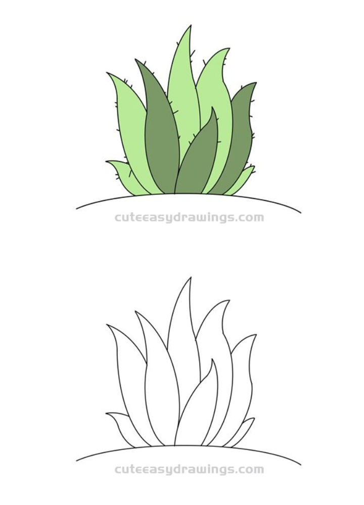 30 Easy Plant Drawing Ideas - How to Draw a Plant