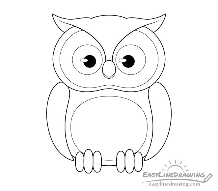 25 Easy Owl Drawing Ideas - How to Draw an Owl - Blitsy